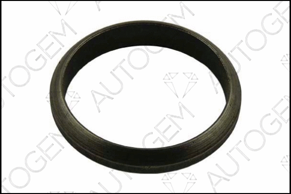 Seal Ring, exhaust pipe (CEG43)
