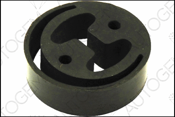 Mount, exhaust system (CSM820)