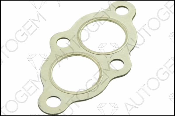 Gasket, exhaust pipe (CEG268)