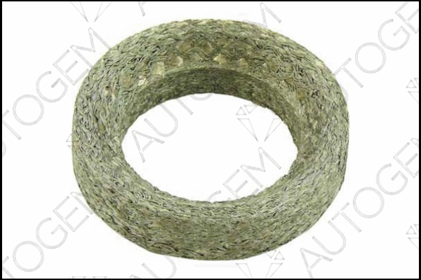 Seal Ring, exhaust pipe (CEG196)