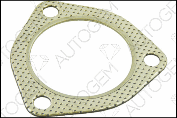 Gasket, exhaust pipe (CEG276)