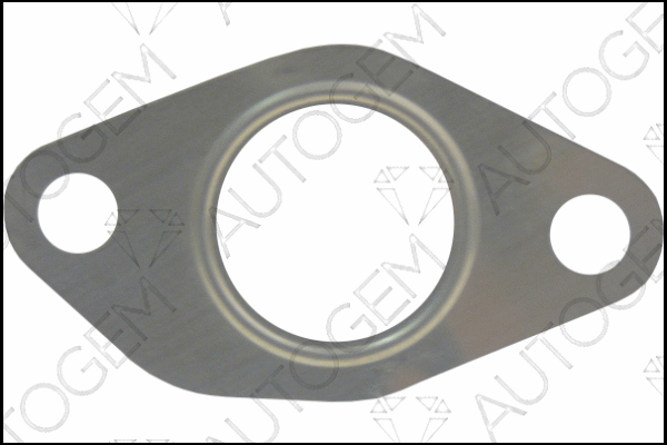 Gasket, EGR valve (CEG5616)