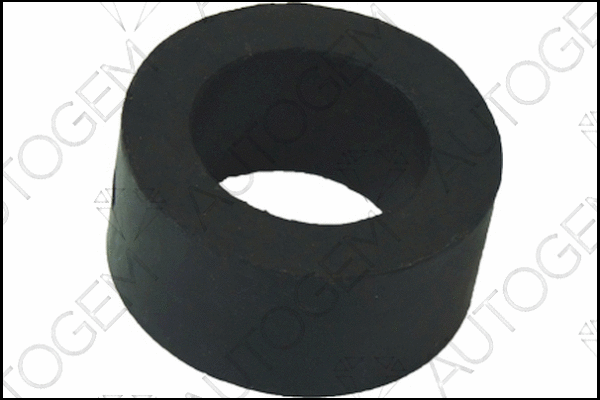 Mount, exhaust system (CSM253)