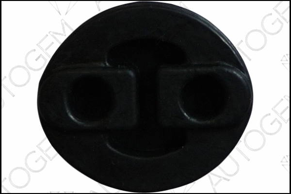 Mount, exhaust system (CSM895)