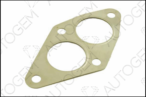 Gasket, exhaust pipe (CEG971)