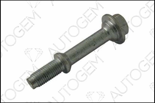 Bolt, exhaust system (EMS45)