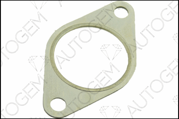 Gasket, exhaust pipe (CEG480)