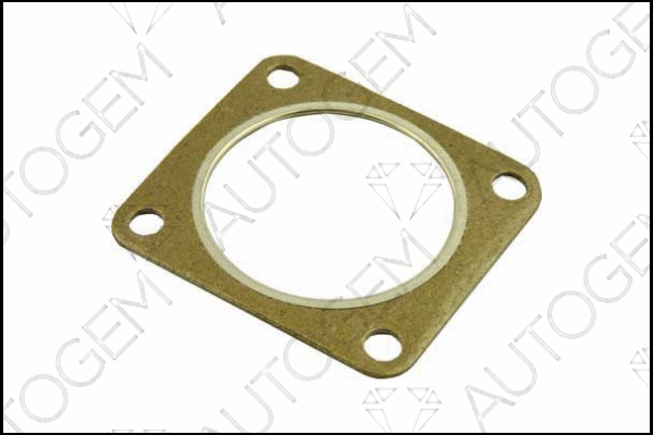 Gasket, exhaust pipe (CEG294)