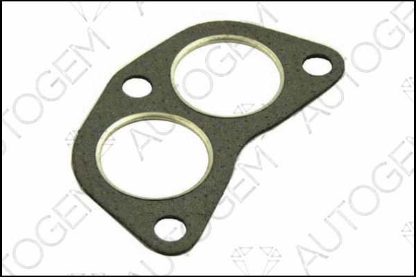 Gasket, exhaust pipe (CEG08)