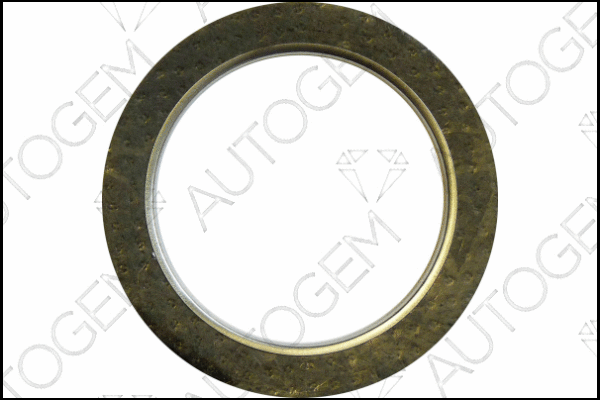 Seal Ring, exhaust pipe (EGA702)
