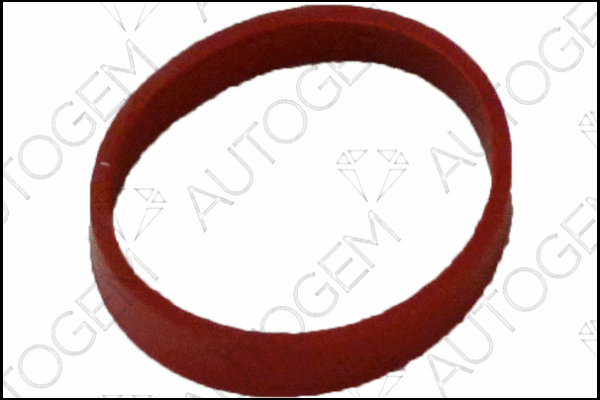 Gasket, intake manifold housing (CSM4510)