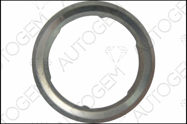 Gasket, EGR valve (TBG251)