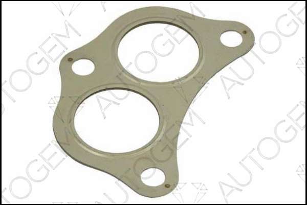 Gasket, exhaust pipe (CEG952)