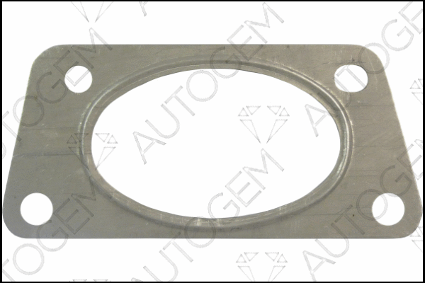 Gasket, exhaust pipe (CEG835)