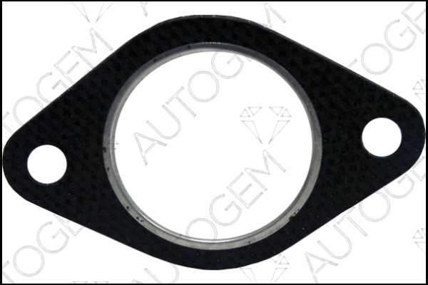 Gasket, exhaust pipe (CEG9600)