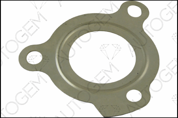 Gasket, exhaust pipe (CEG9491)