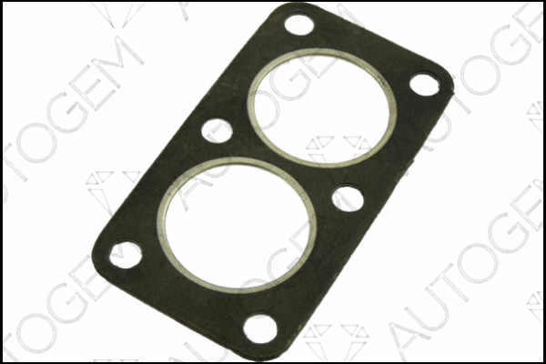 Gasket, exhaust pipe (EG25)