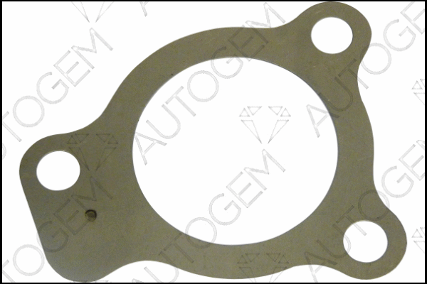 Gasket, exhaust pipe (CEG6416)