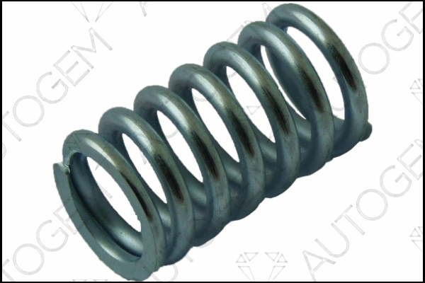 Spring, muffler (CSC1013)