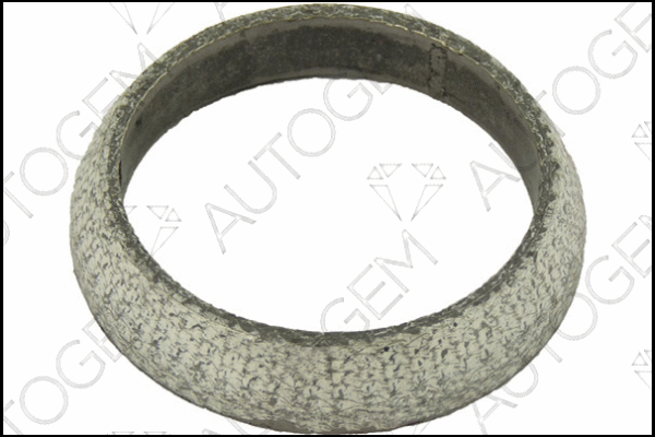 Seal Ring, exhaust pipe (CEG909)