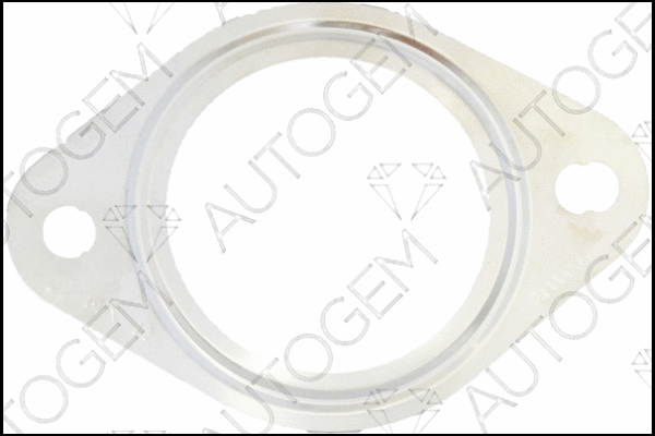 Gasket, exhaust pipe (CEG7559)