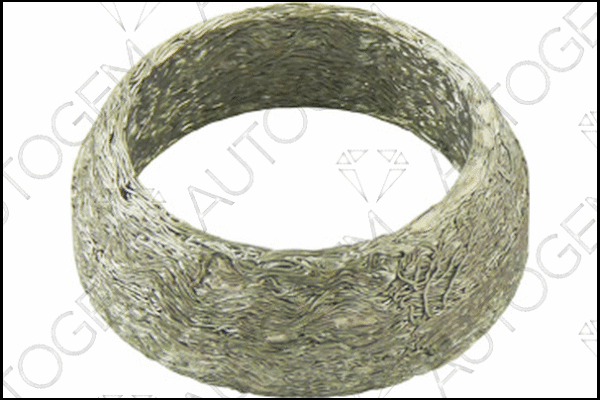 Seal Ring, exhaust pipe (CEG488)