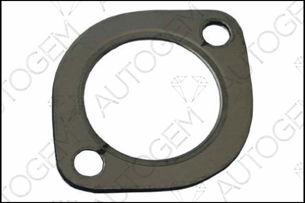 Gasket, exhaust pipe (CEG143)