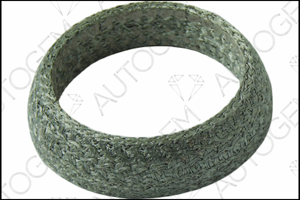 Seal Ring, exhaust pipe (CEG823)
