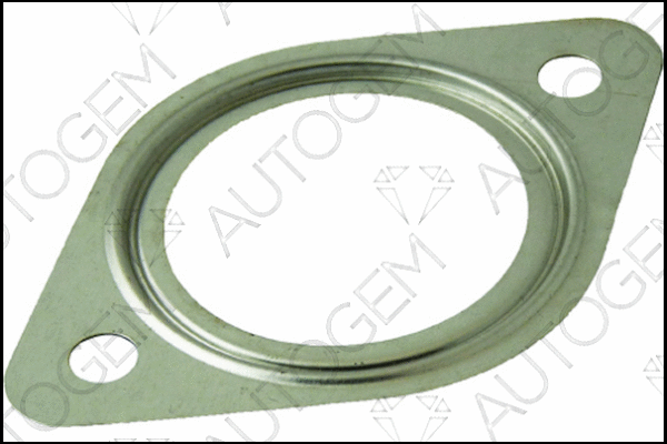 Gasket, exhaust pipe (CEG558)