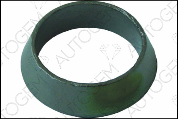 Seal Ring, exhaust pipe (CEG5410)