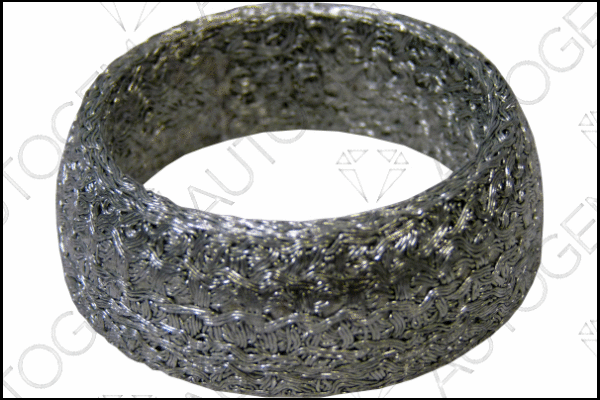 Seal Ring, exhaust pipe (CEG9349)