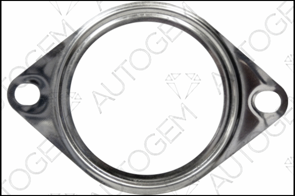 Gasket, exhaust pipe (CEG995)