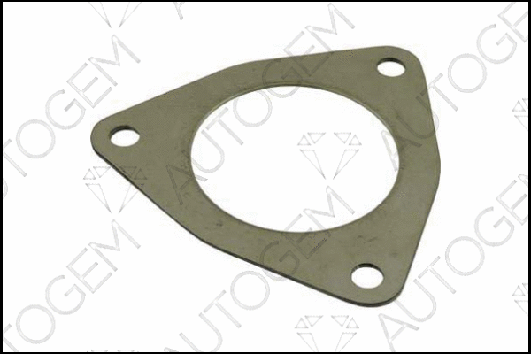 Gasket, exhaust pipe (CEG382)