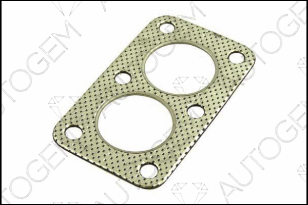 Gasket, exhaust pipe (CEG67)