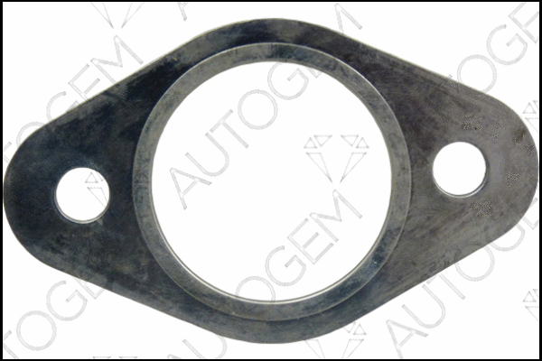 Gasket, exhaust pipe (CEG8509)