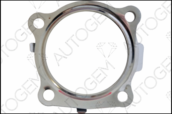 Gasket, exhaust pipe (CEG5645)