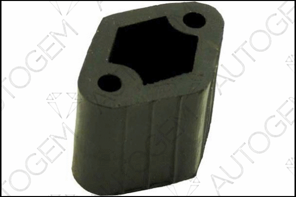 Mount, exhaust system (CSM95)