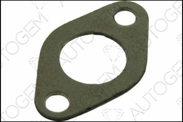 Gasket, exhaust pipe (CEG85)