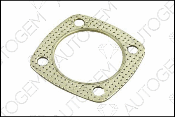 Gasket, exhaust pipe (CEG248)