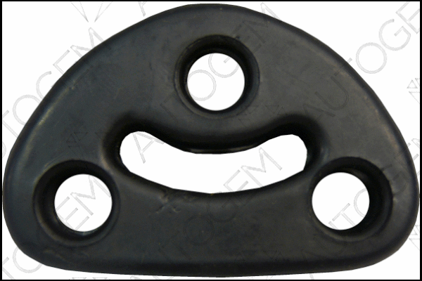 Mount, exhaust system (CSM798)