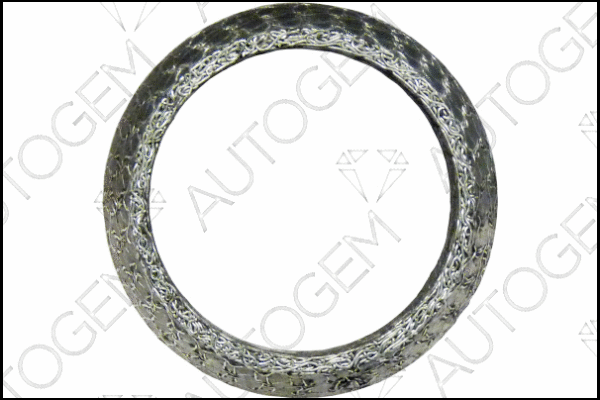 Seal Ring, exhaust pipe (CEG7545)