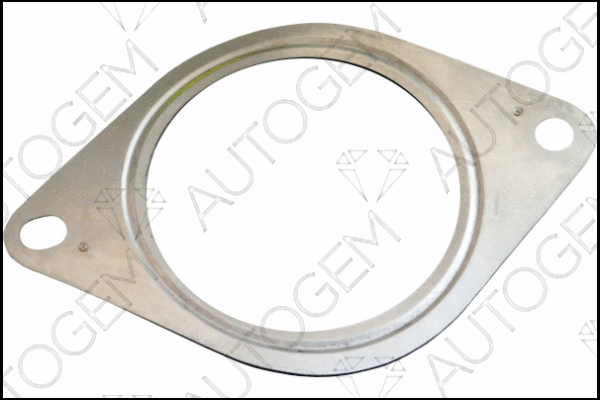 Gasket, exhaust pipe (CEG7532)