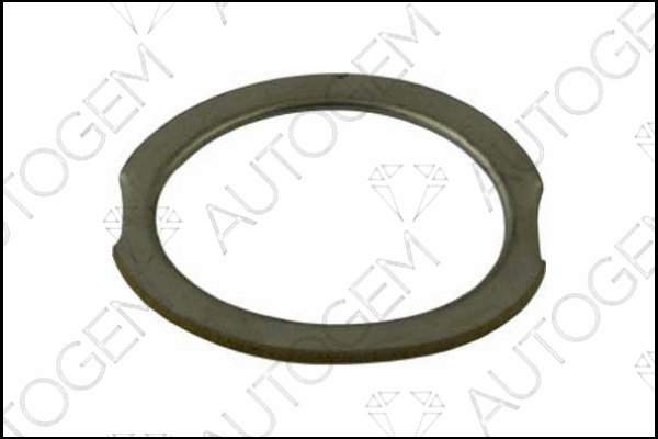 Seal Ring, exhaust pipe (CEG97)