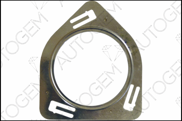 Gasket, exhaust pipe (CEG9496)
