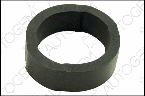 Mount, exhaust system (CSM12)