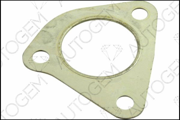 Gasket, exhaust pipe (CEG133)