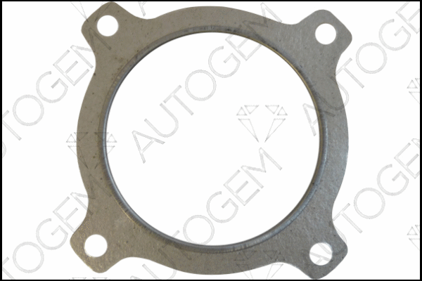 Gasket, exhaust pipe (CEG6820)