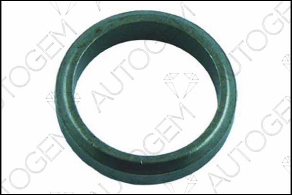 Seal Ring, exhaust pipe (EG14)