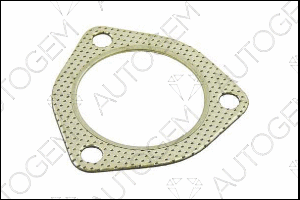 Gasket, exhaust pipe (CEG311)