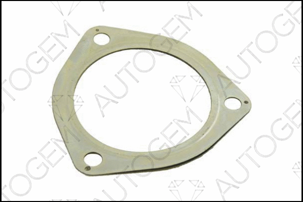 Gasket, exhaust pipe (CEG300)